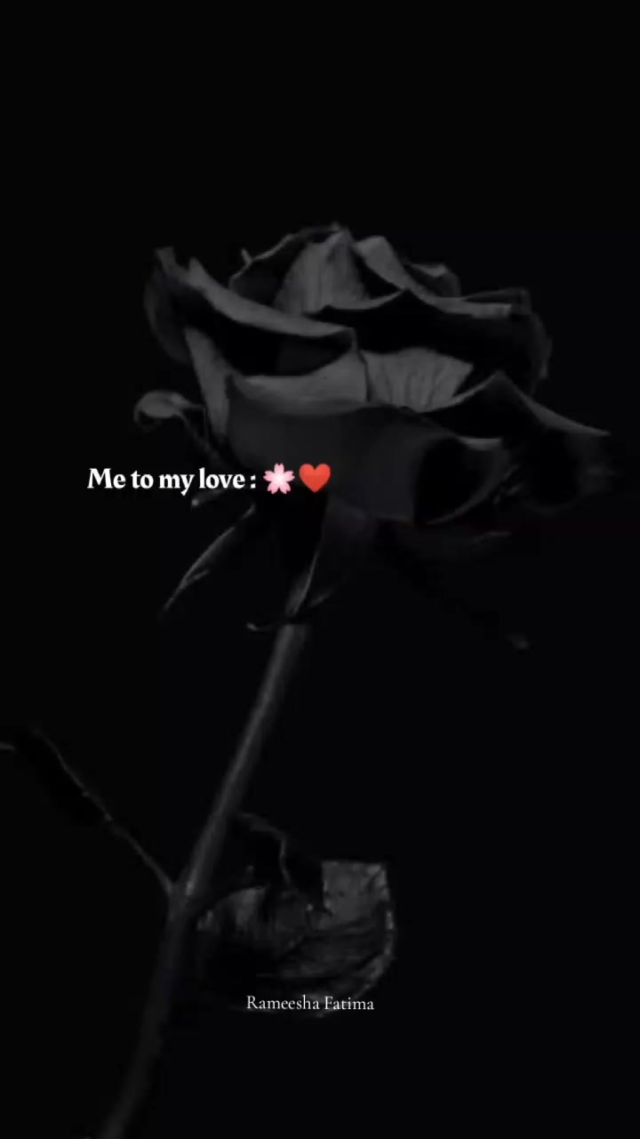 @Rameesha Fatima