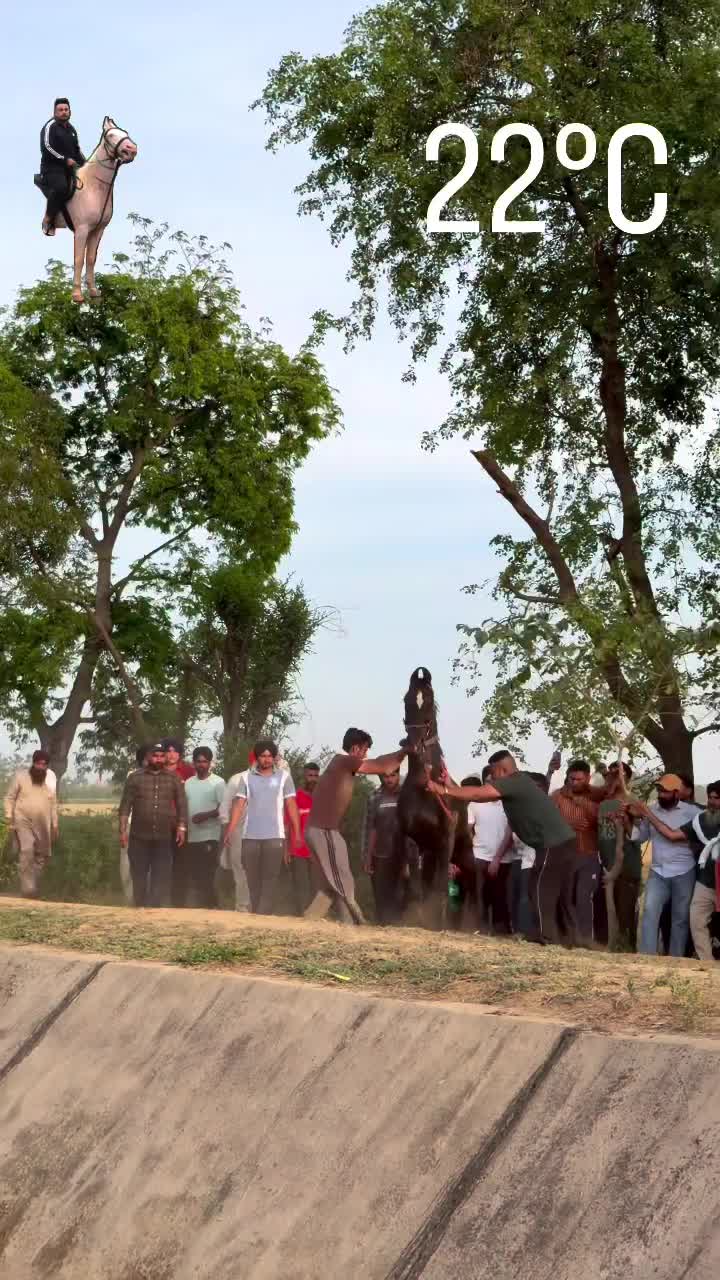 @🏇 MARWARI HORSE RACING 🏇