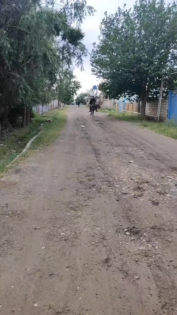 @Vəli Baba