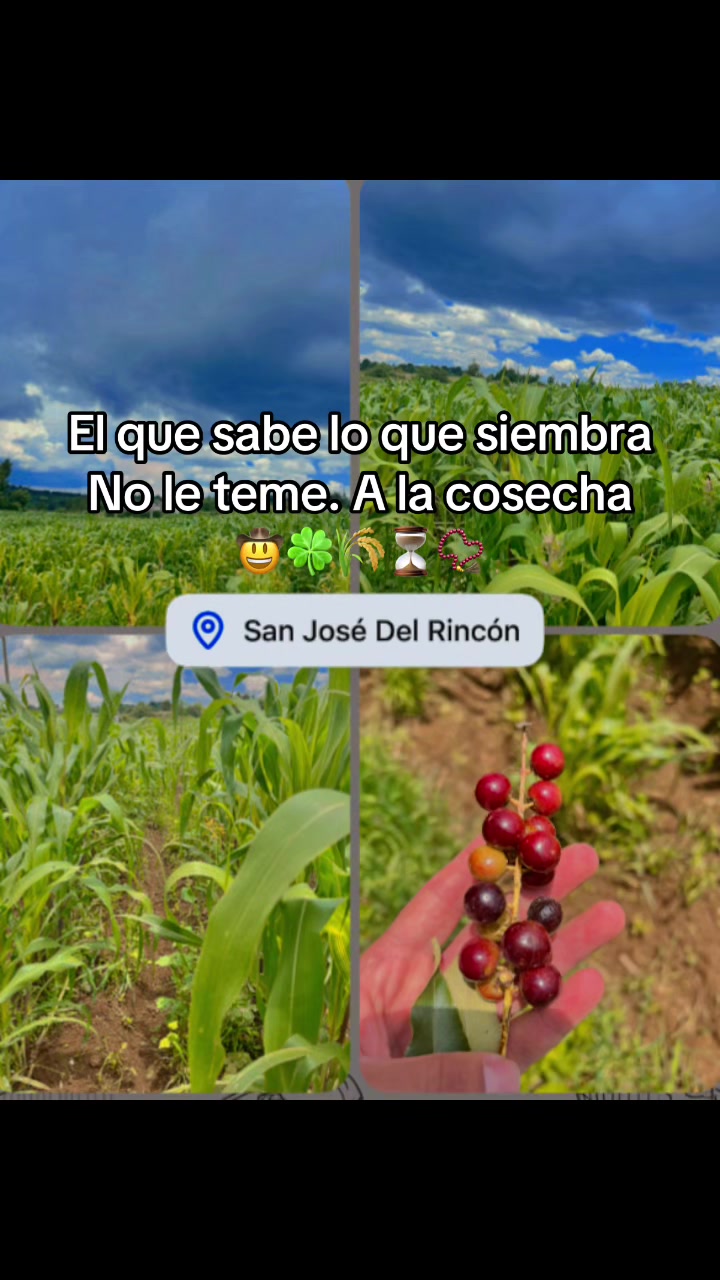 @☘️MEJ&Iacute;A ☘️T&Eacute;LLEZ ☘️ RODRIGO🤠