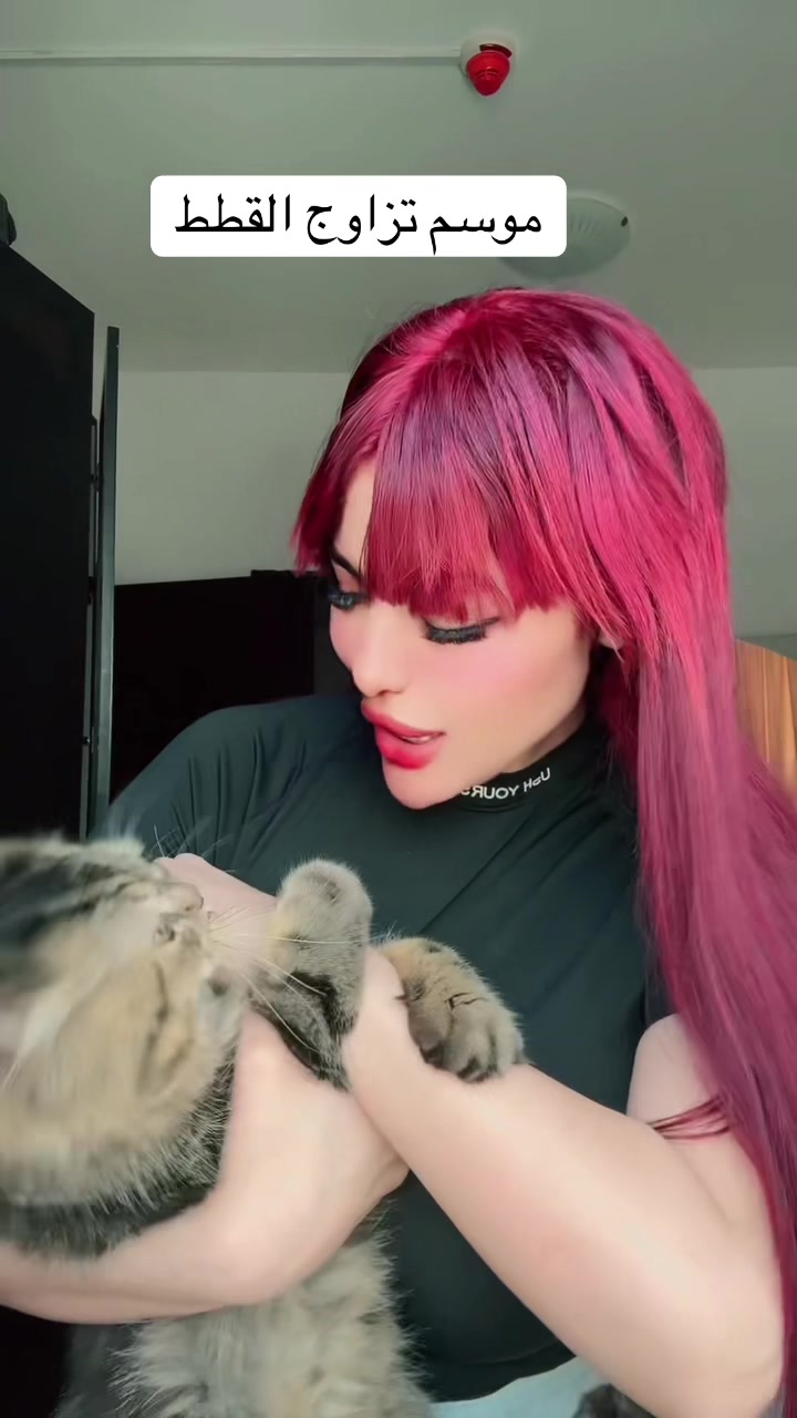 @Nourنور🐾