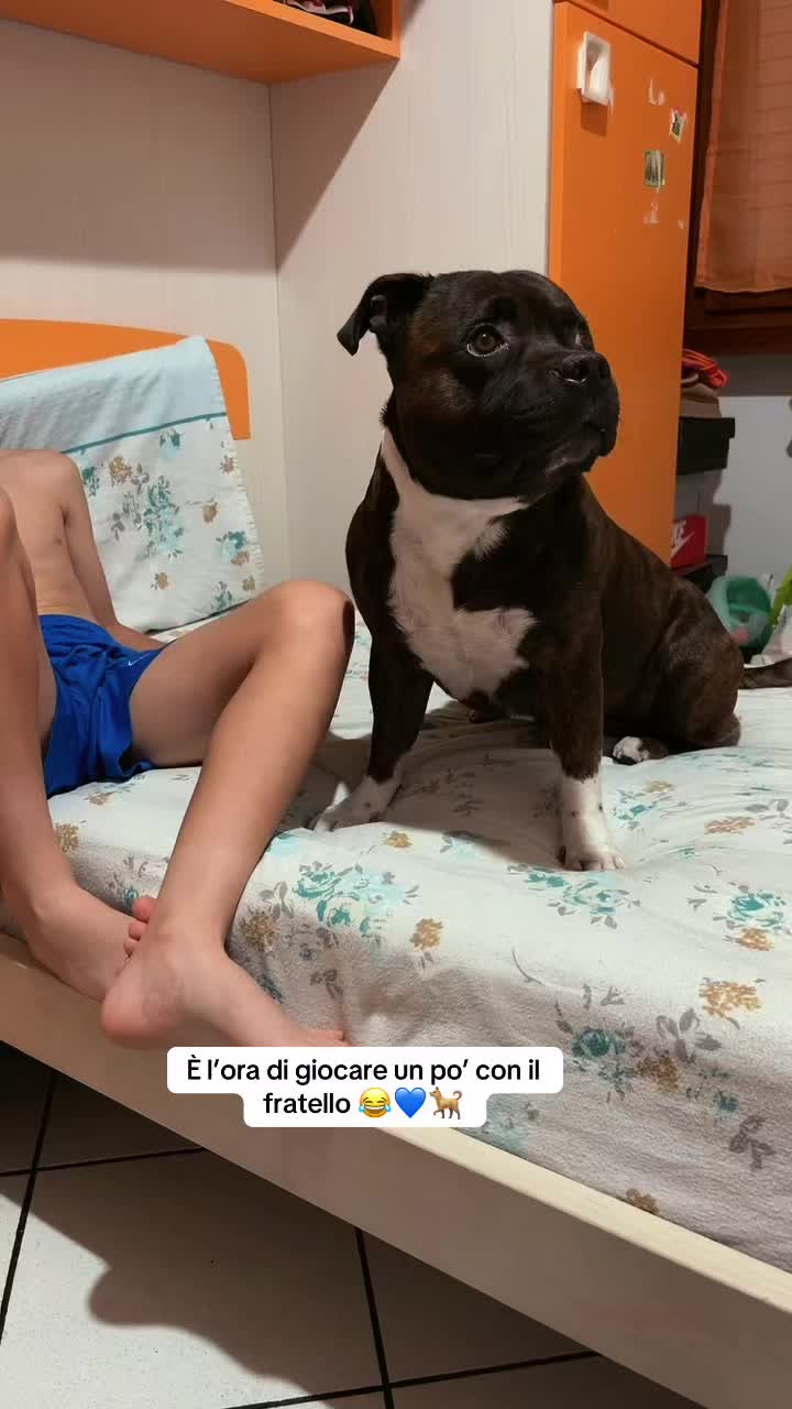 @tina.1988.🫶🌸🫅🇦🇱