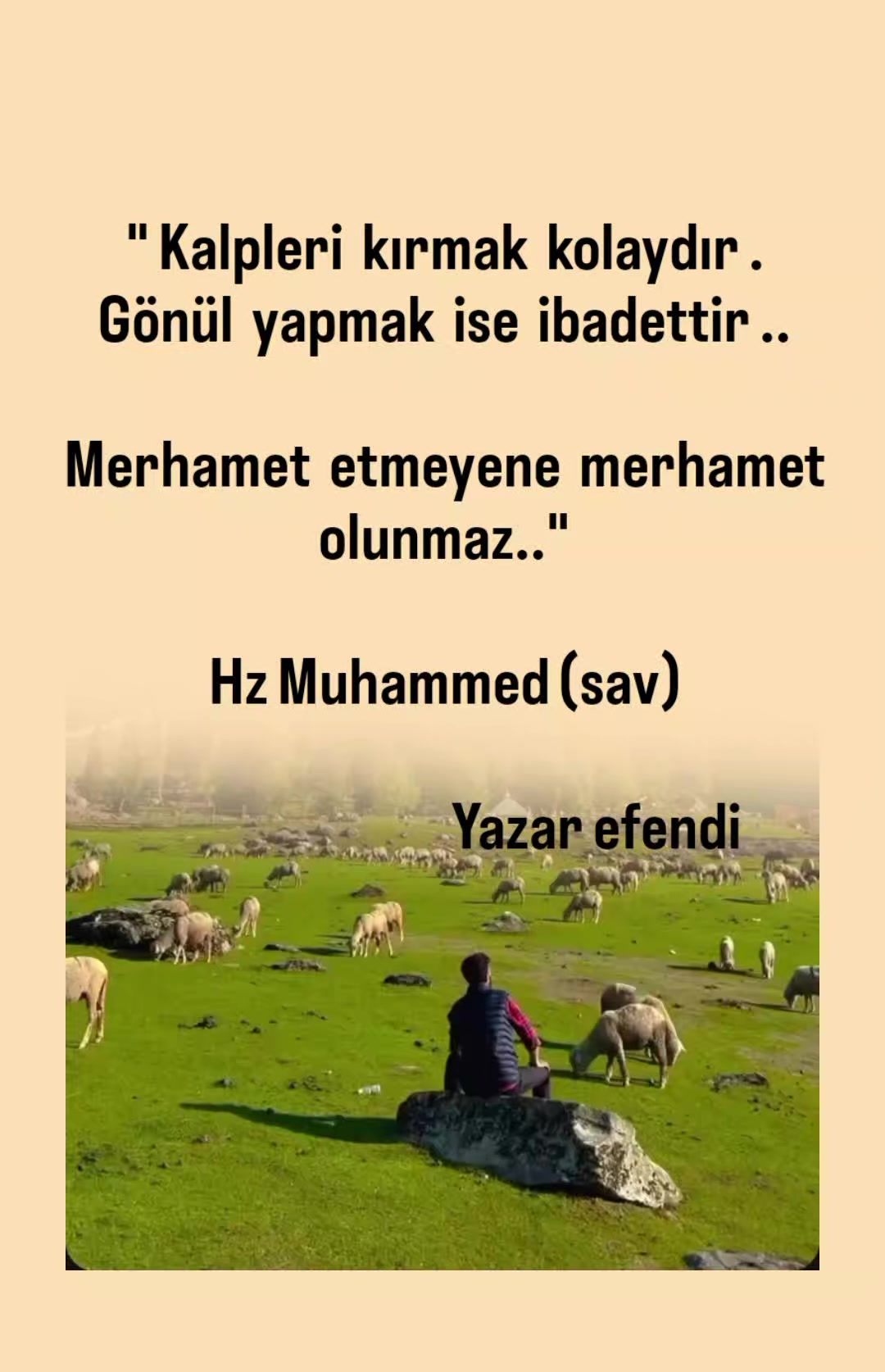 @YAZAR EFENDİ 📚📚