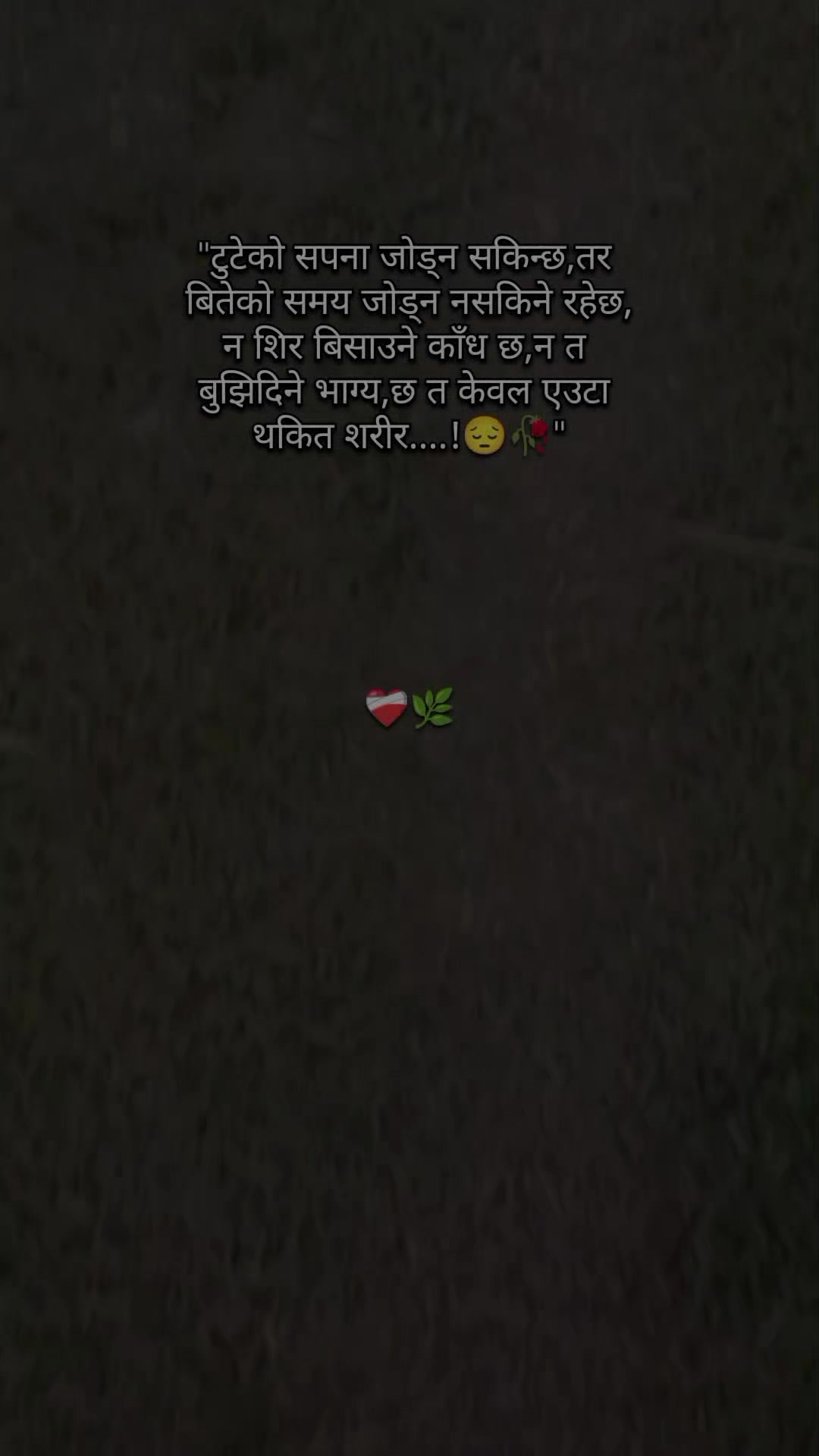 @ЁЭХМЁЭХБЁЭХОЁЭФ╕ЁЭХГтЭдя╕ПЁЯй╣ЁЯМ┐