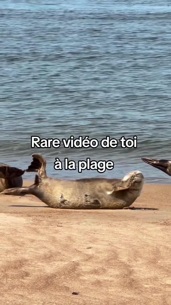 @FouRireAnimal