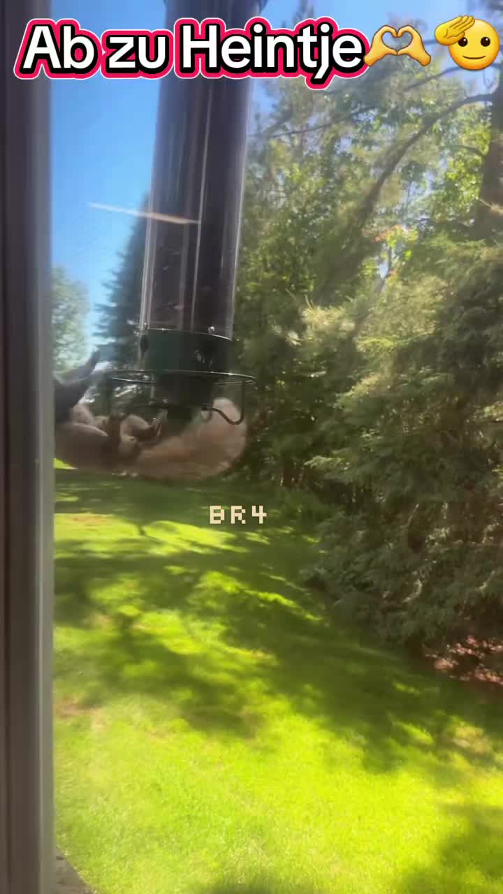 @Br4_TIKTOK®