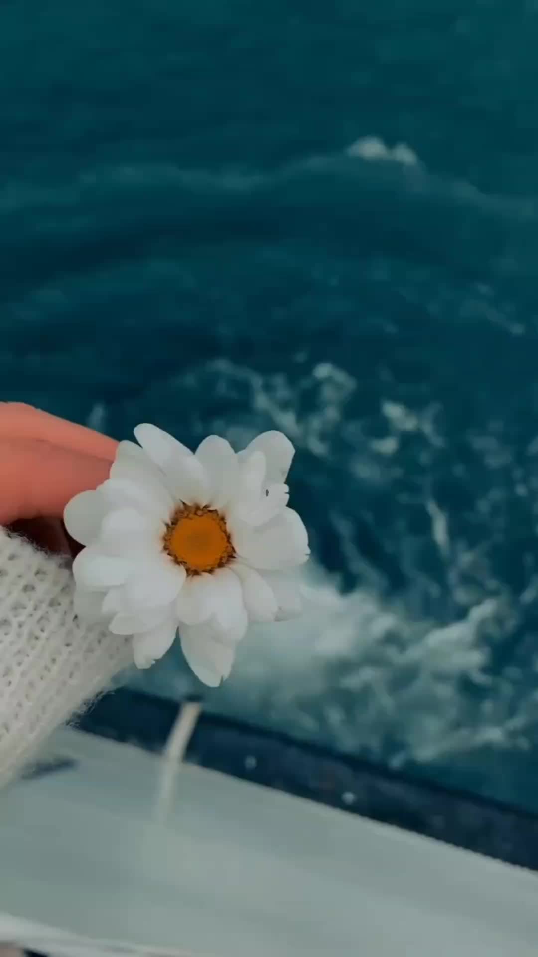 @nedoucha