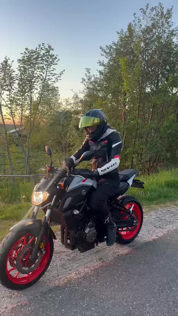 @mt-0Demi🤪