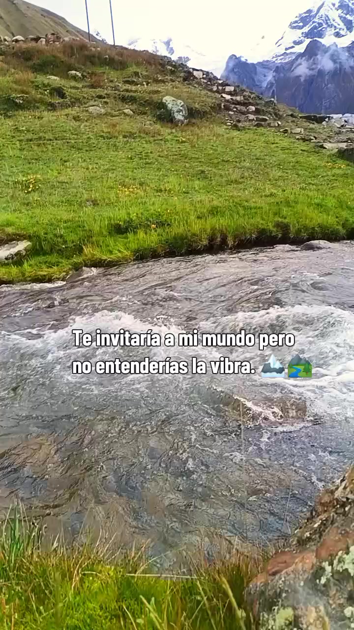 @yampol