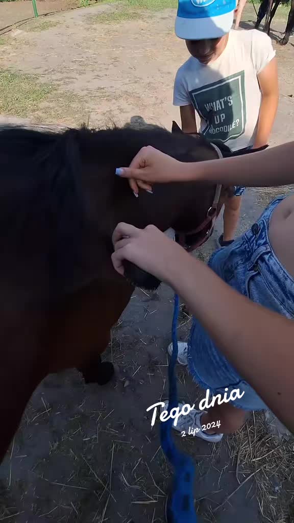 @mamanawsi-lolkafoto