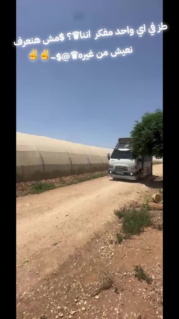 @موسى بلوشي