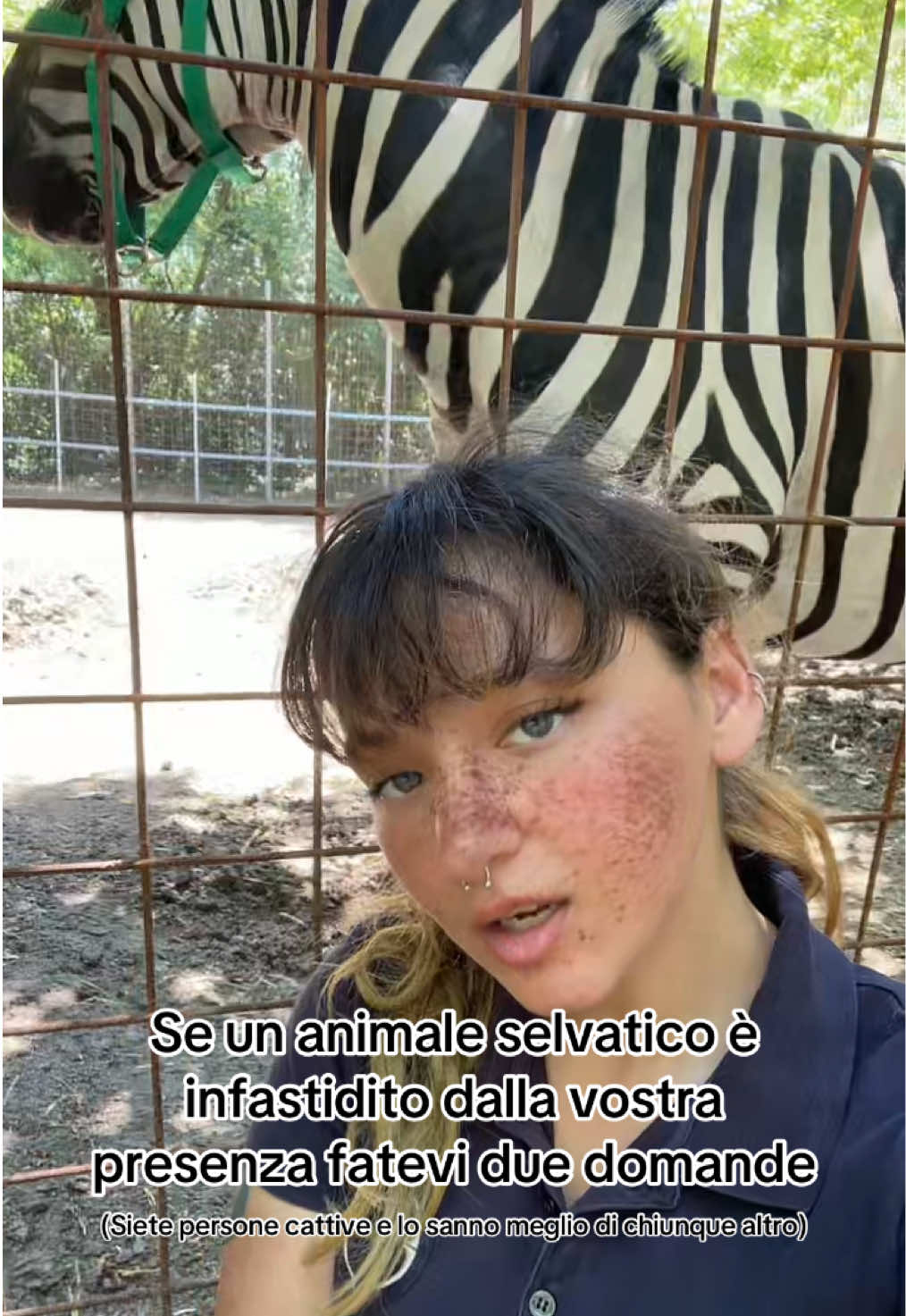 @Carmen Corrain