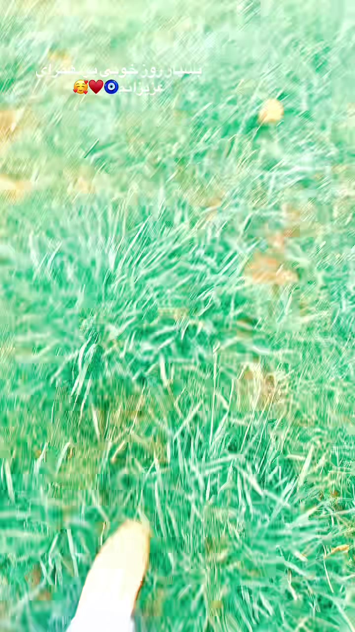 @asaljan0012