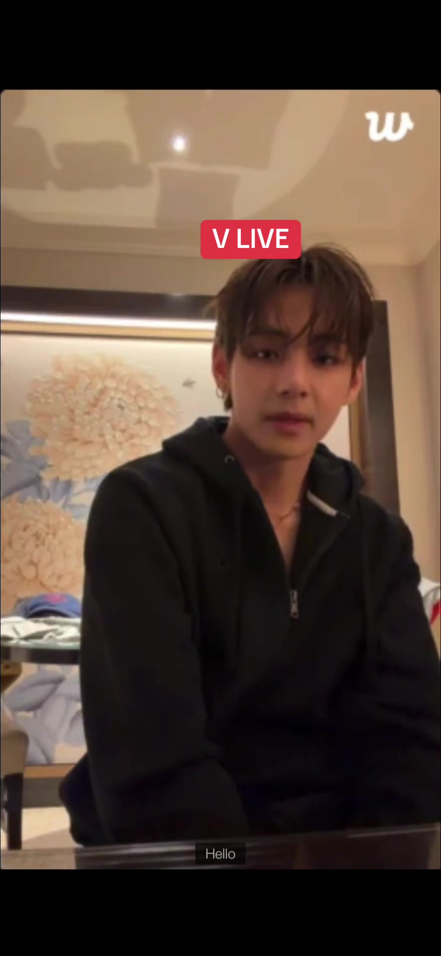 @BTS VIBES