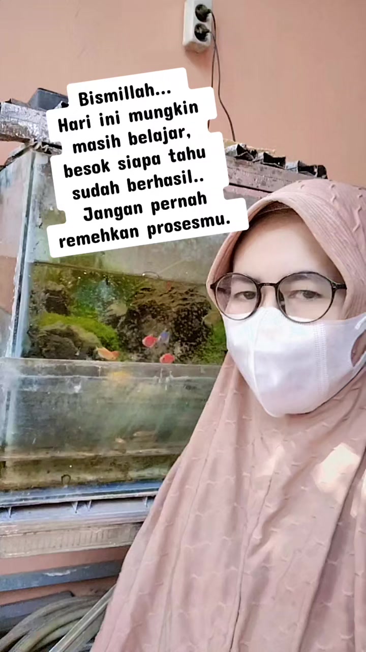 @Sischi shop