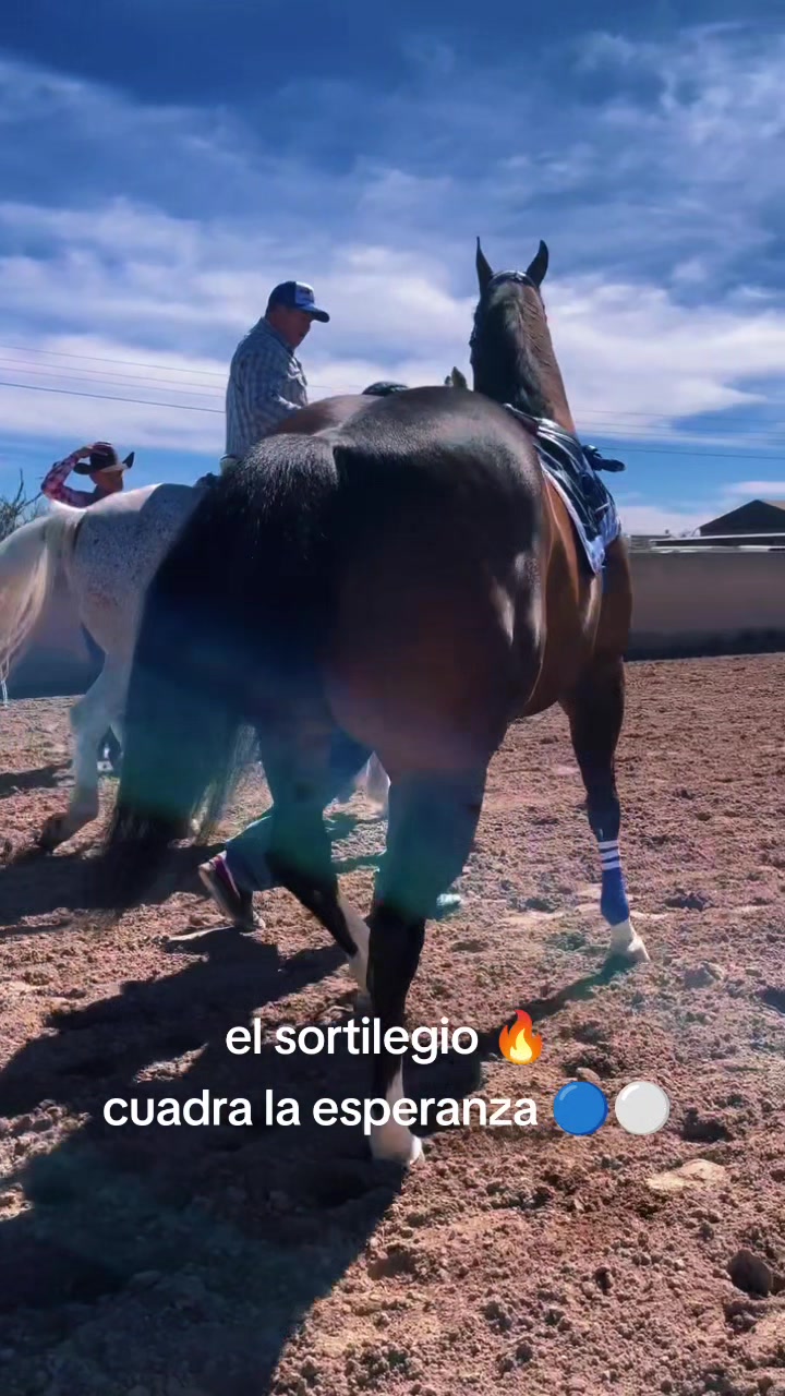 @carriles altos de jalisco🐎
