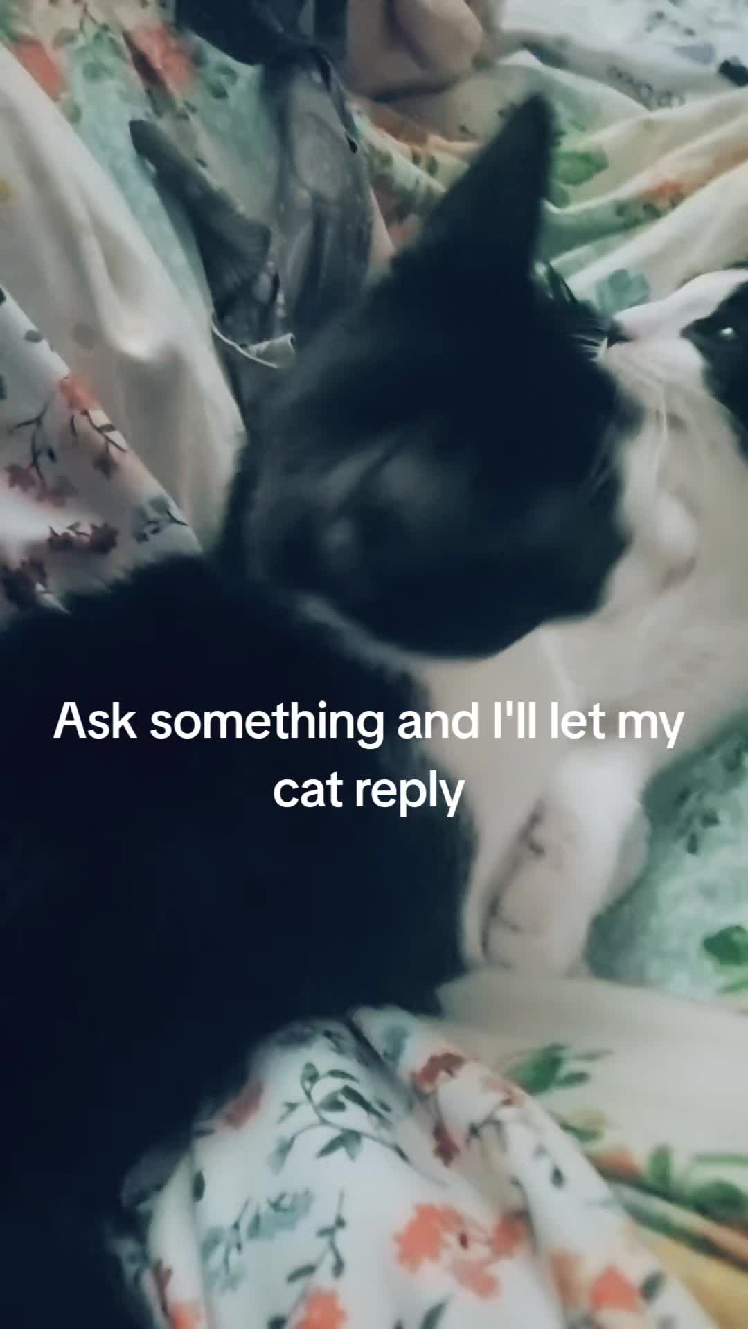 @v01d_ed1tz