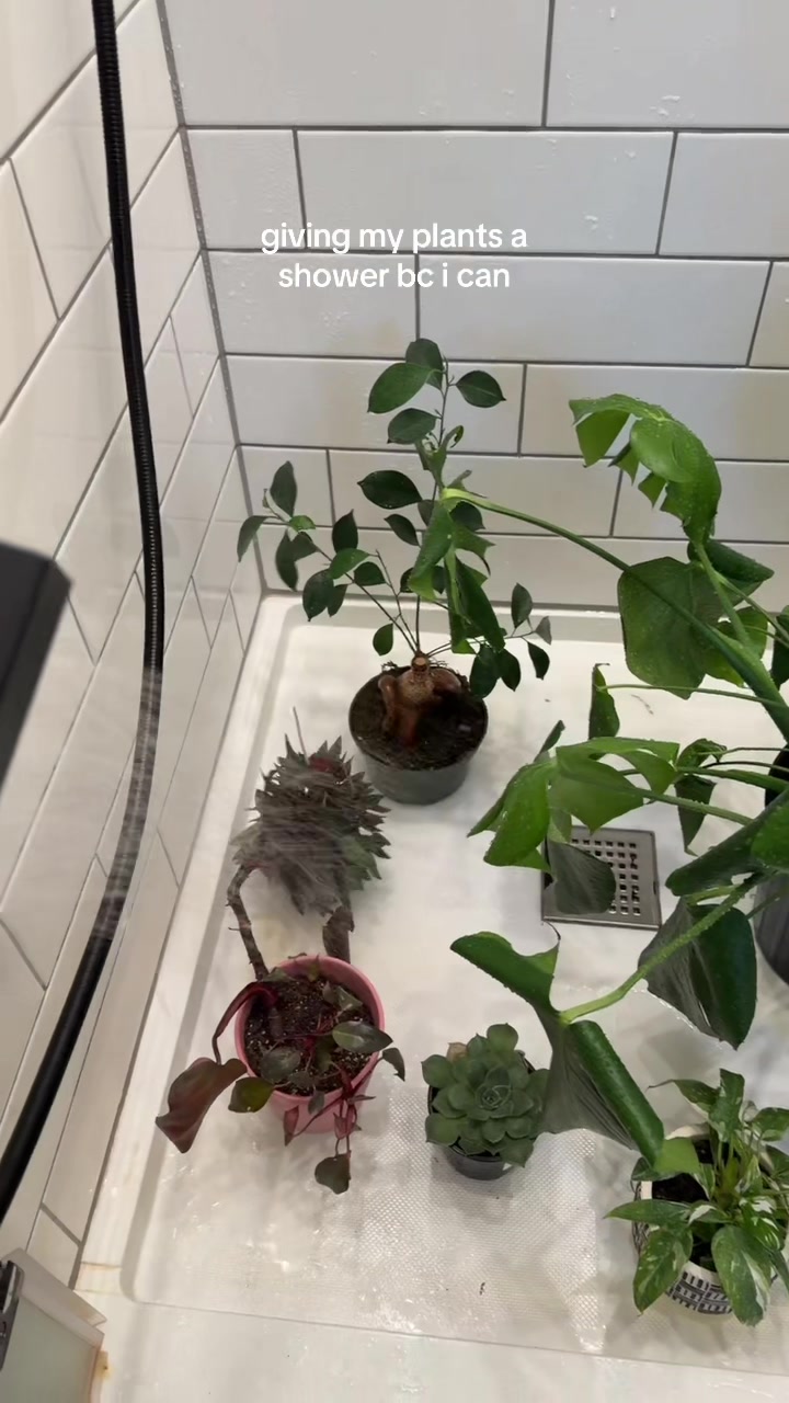 @Plantpusherr
