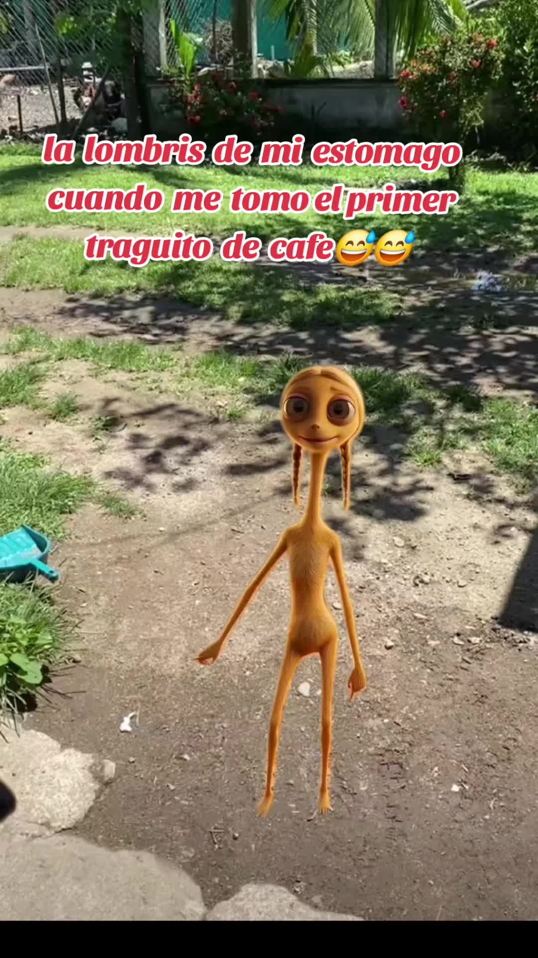 @Jaqueline Gomez