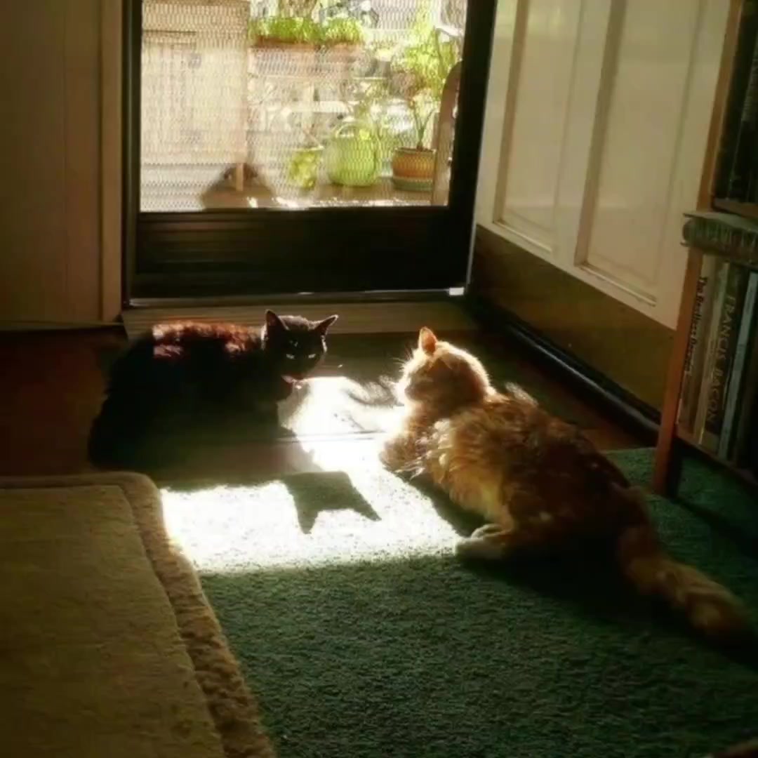@точка.
