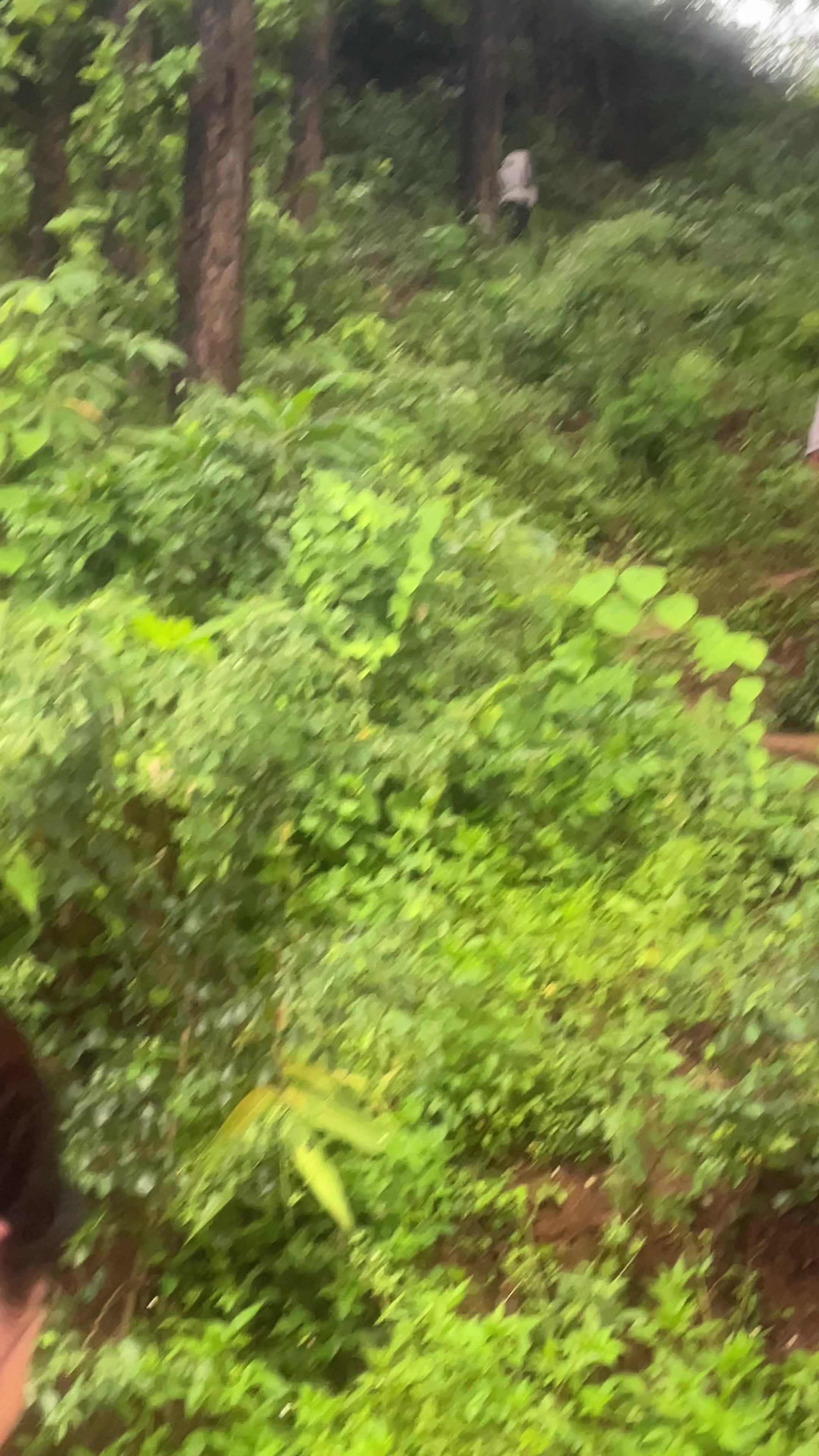 @ashathapamgr48