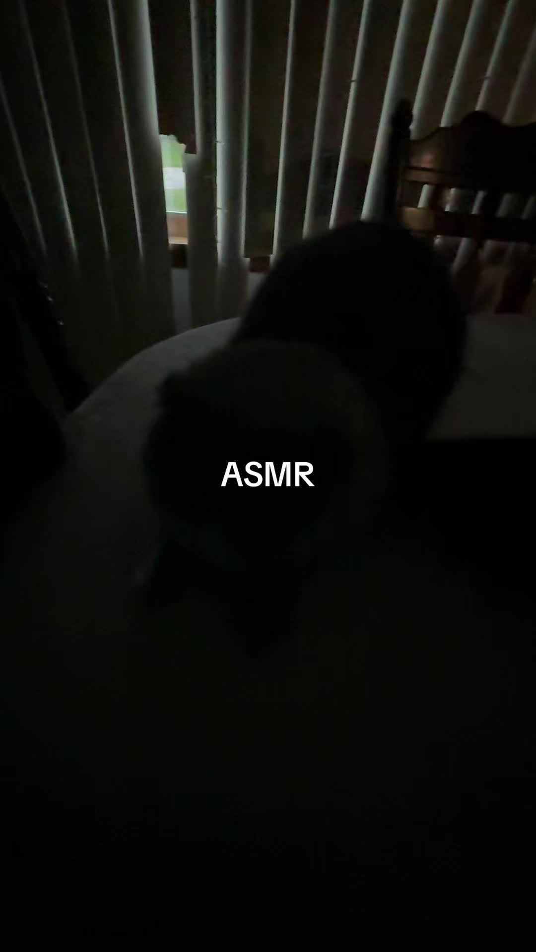 @ALINA
