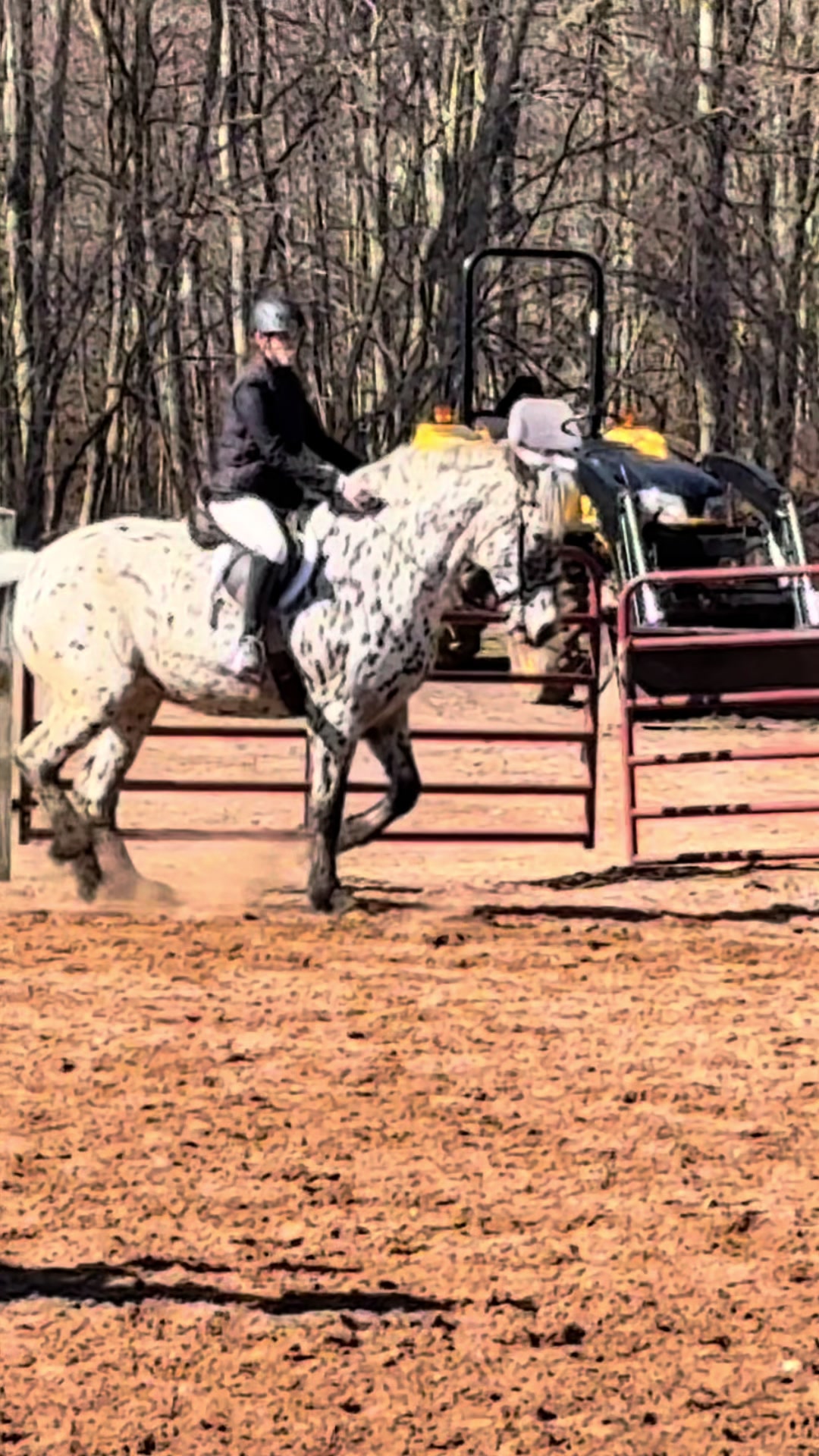 @🐎Aby 😌👌✨️