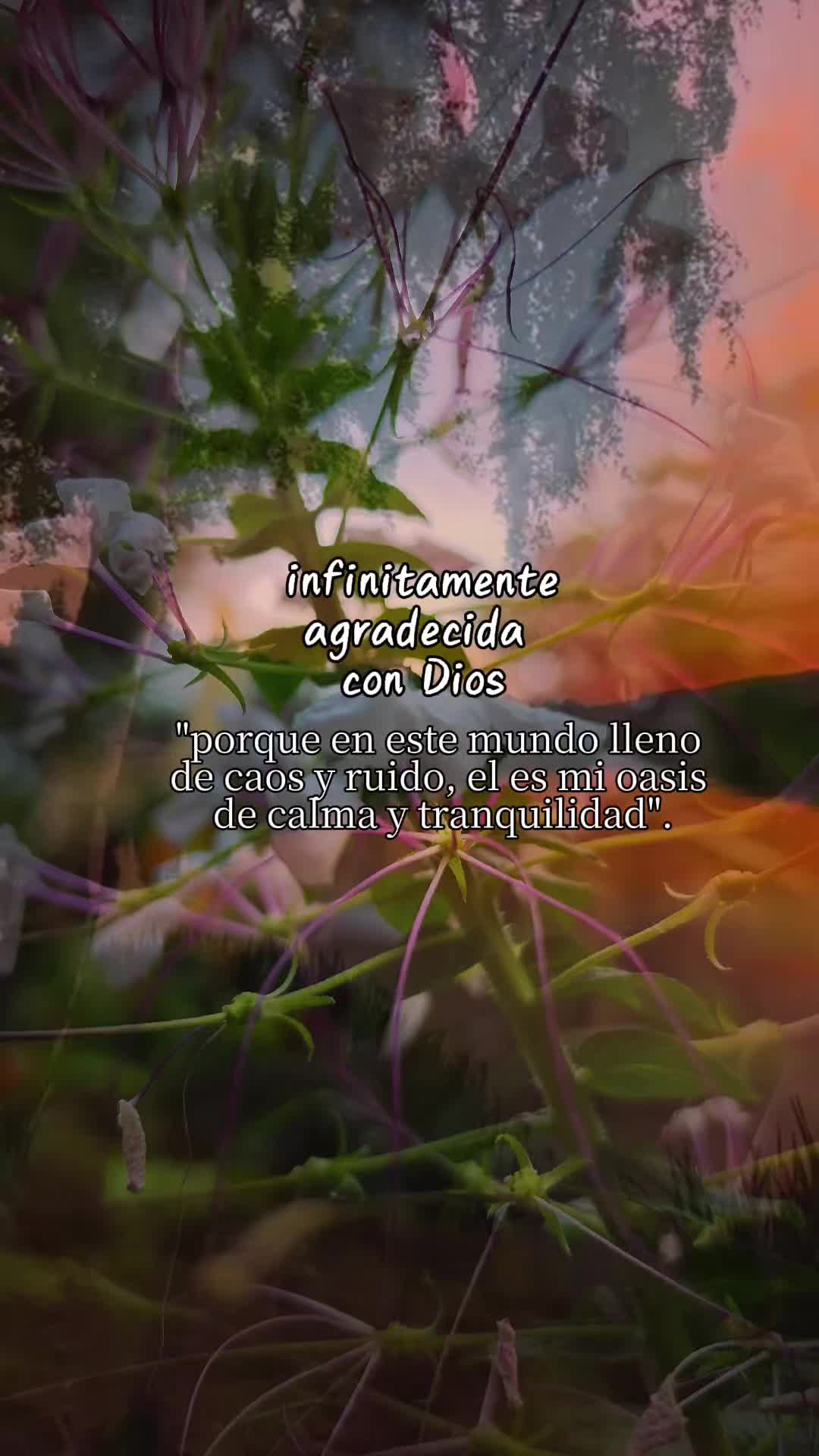 @doly.dfn