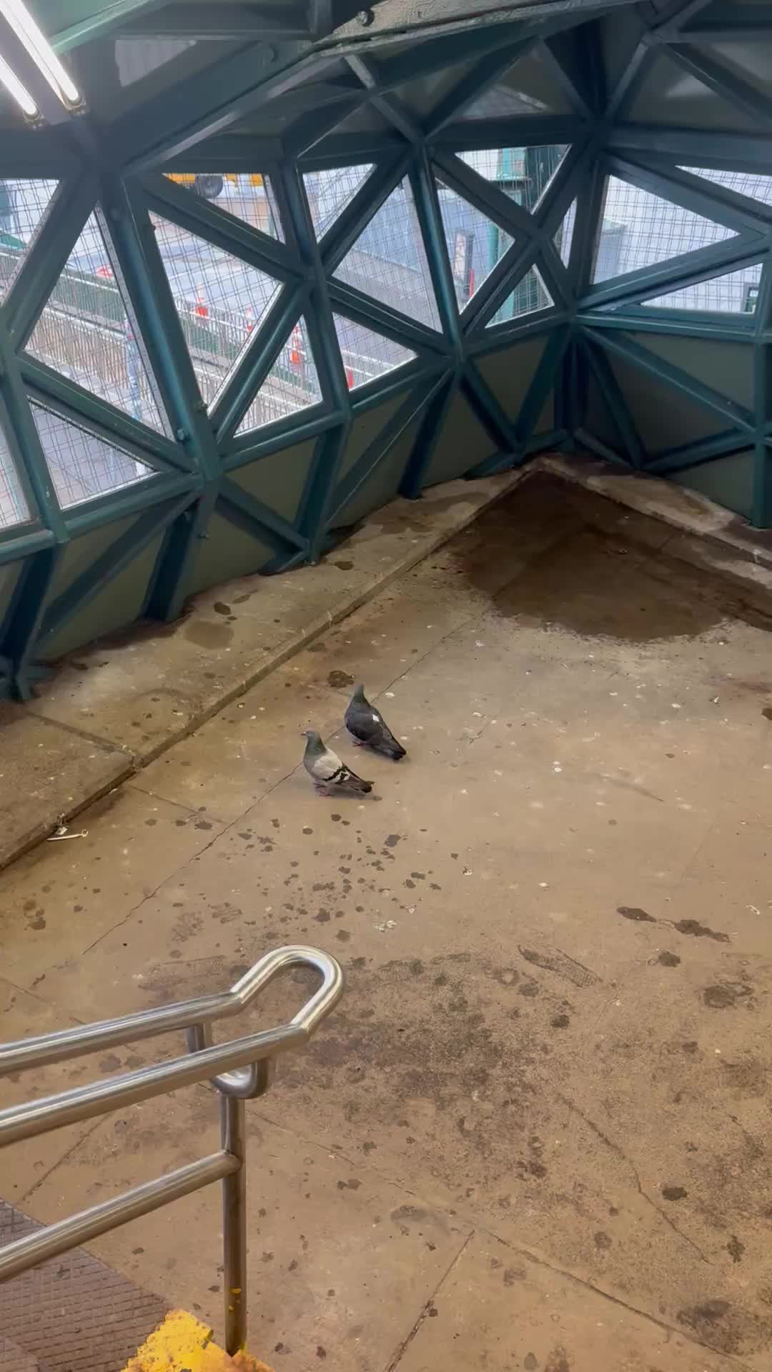 @TERANCHI