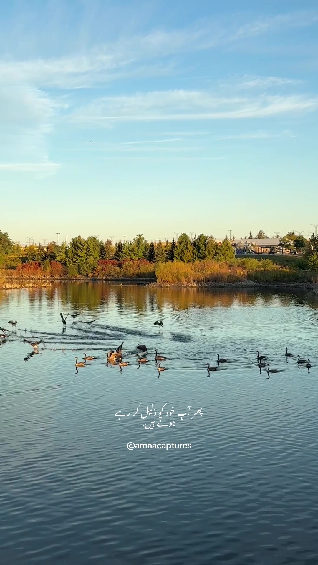 @Nature lover 🇨🇦