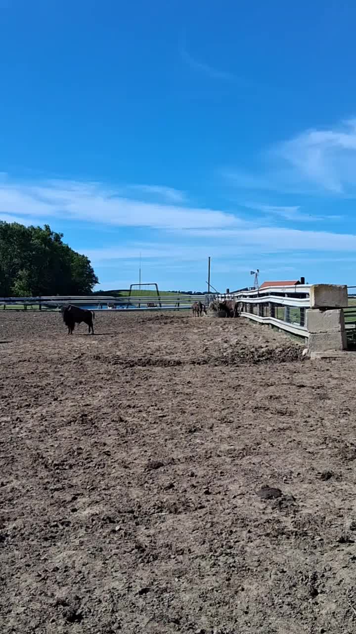 @Taylor | Sah{farm}m