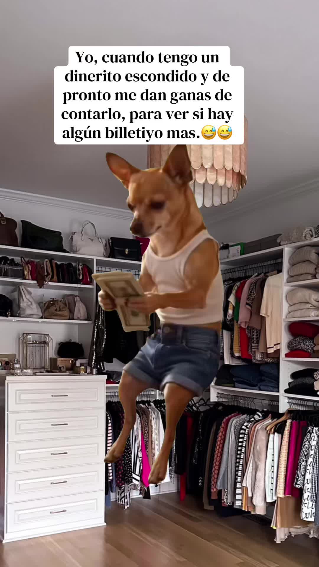 @Obi