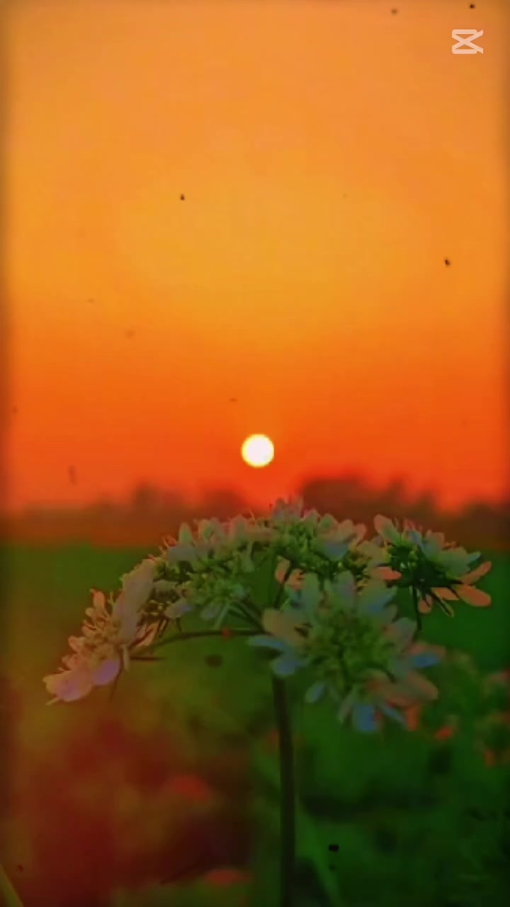 @Meђeͥℝaͣjͫ