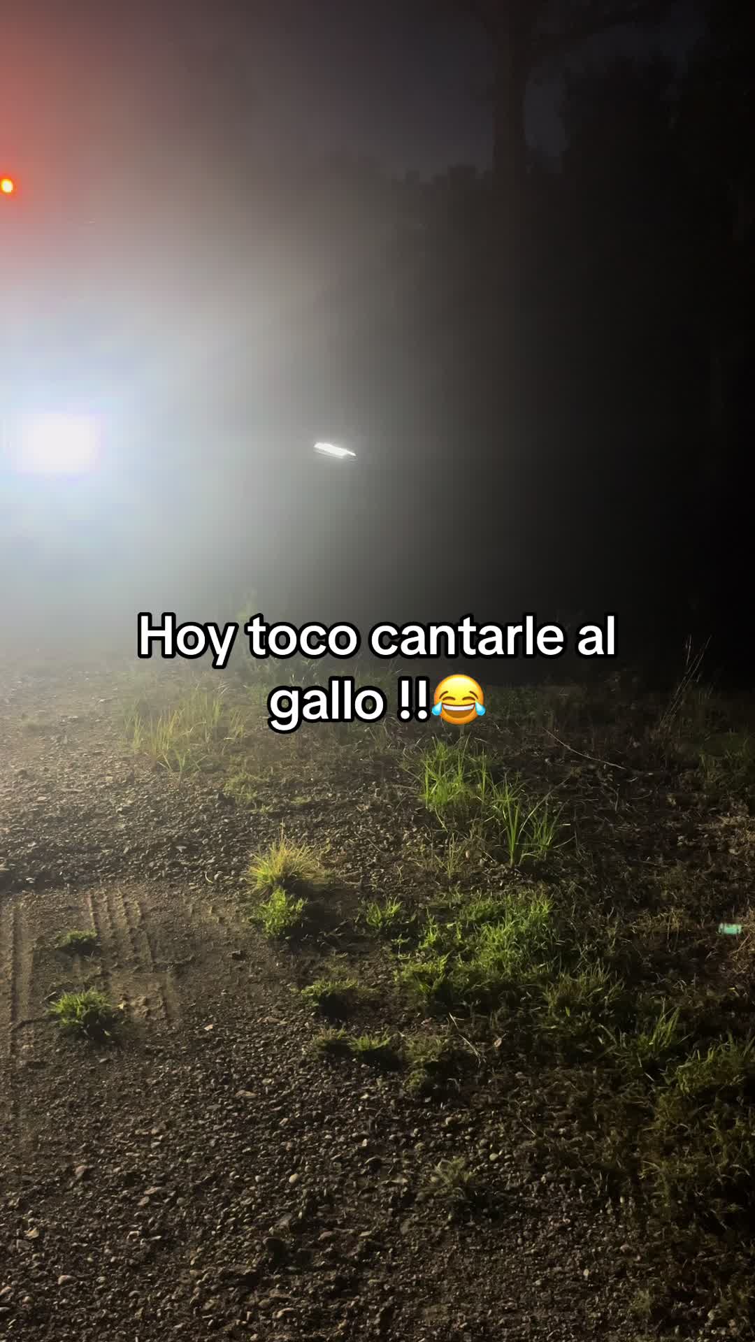 @Yeselin Cervantes