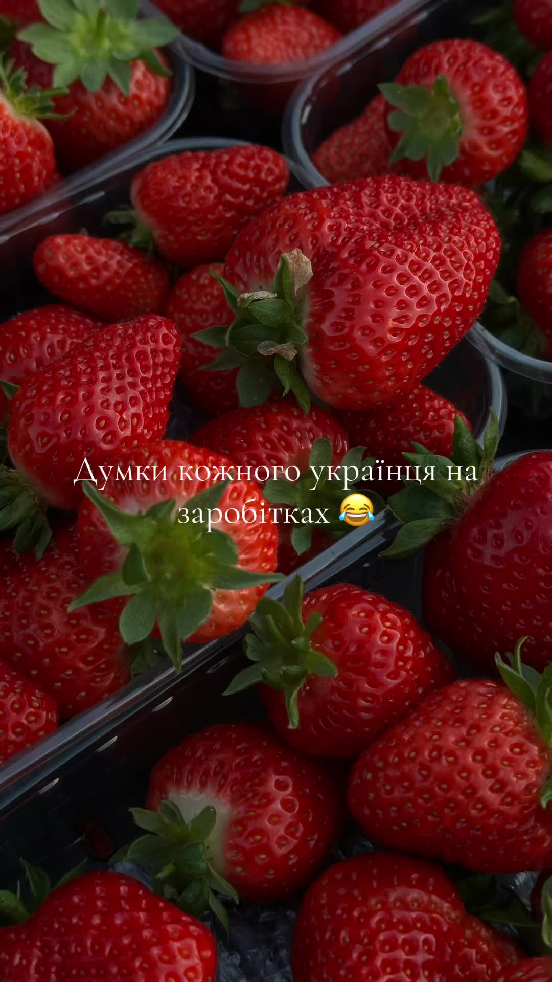 @Юлія Римарчук