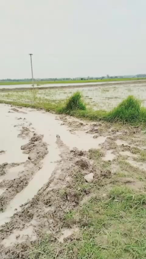 @اسرار گجر سروال 🇵🇰