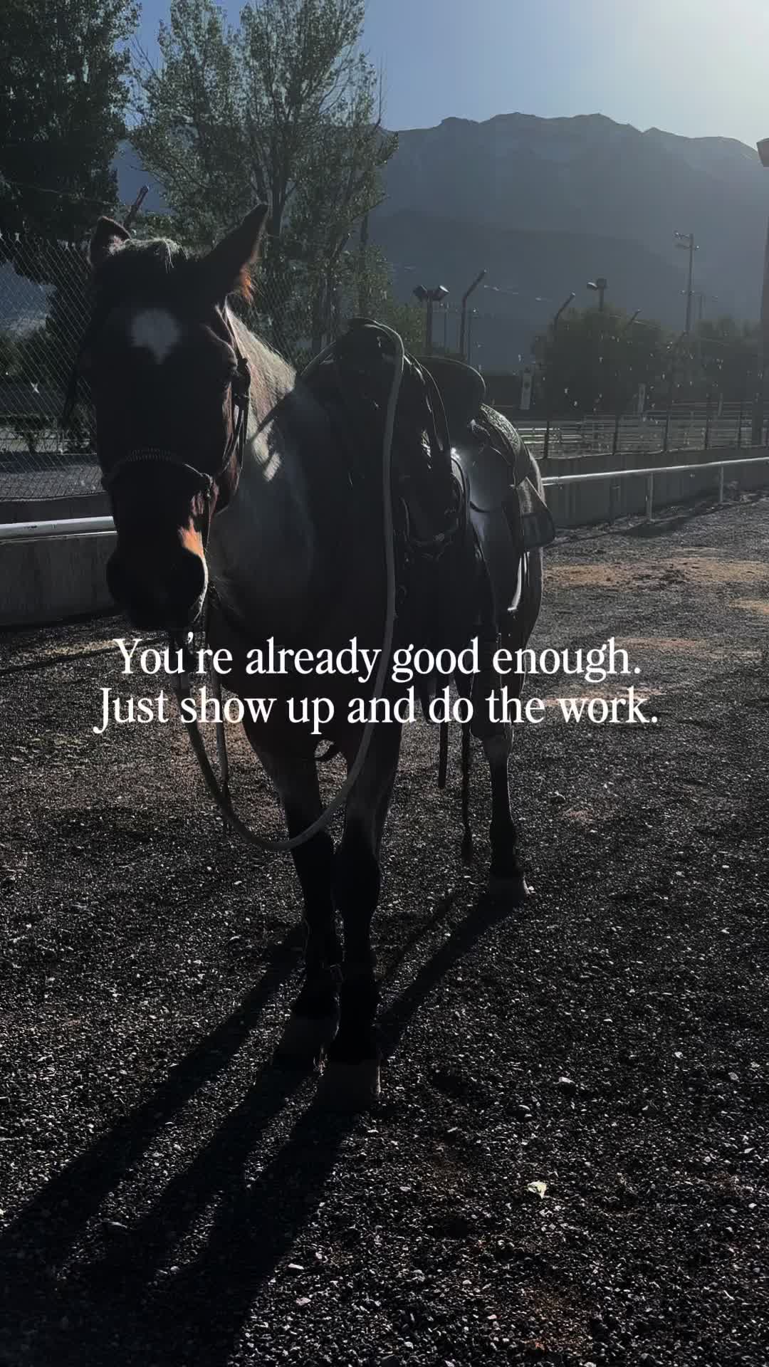@wild.horsewoman