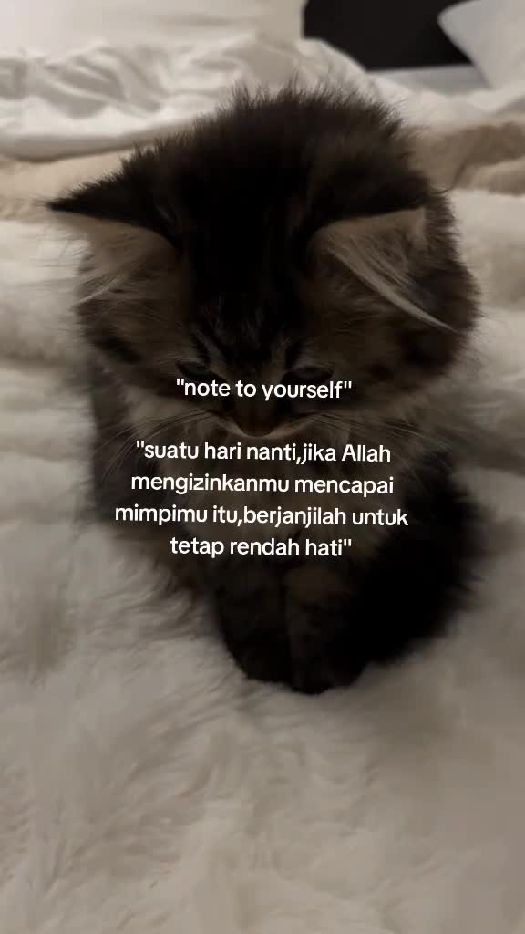 @kejuuuus1