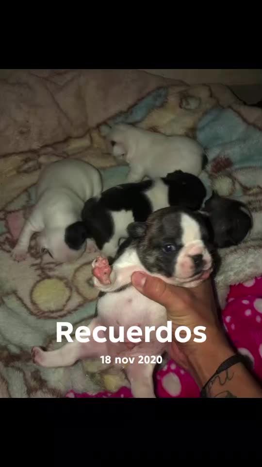 @kennethviaa
