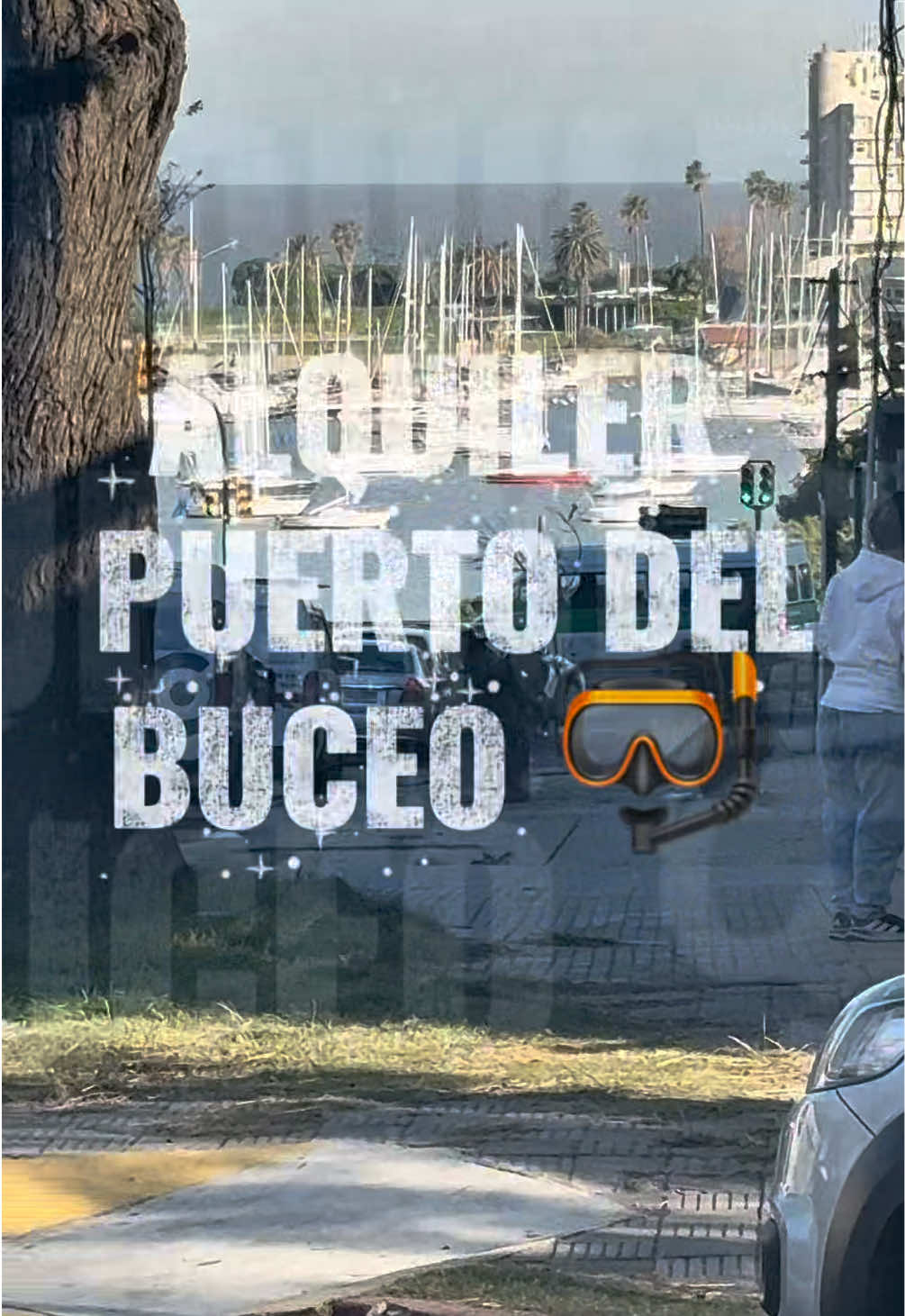 @edi.inmobiliario