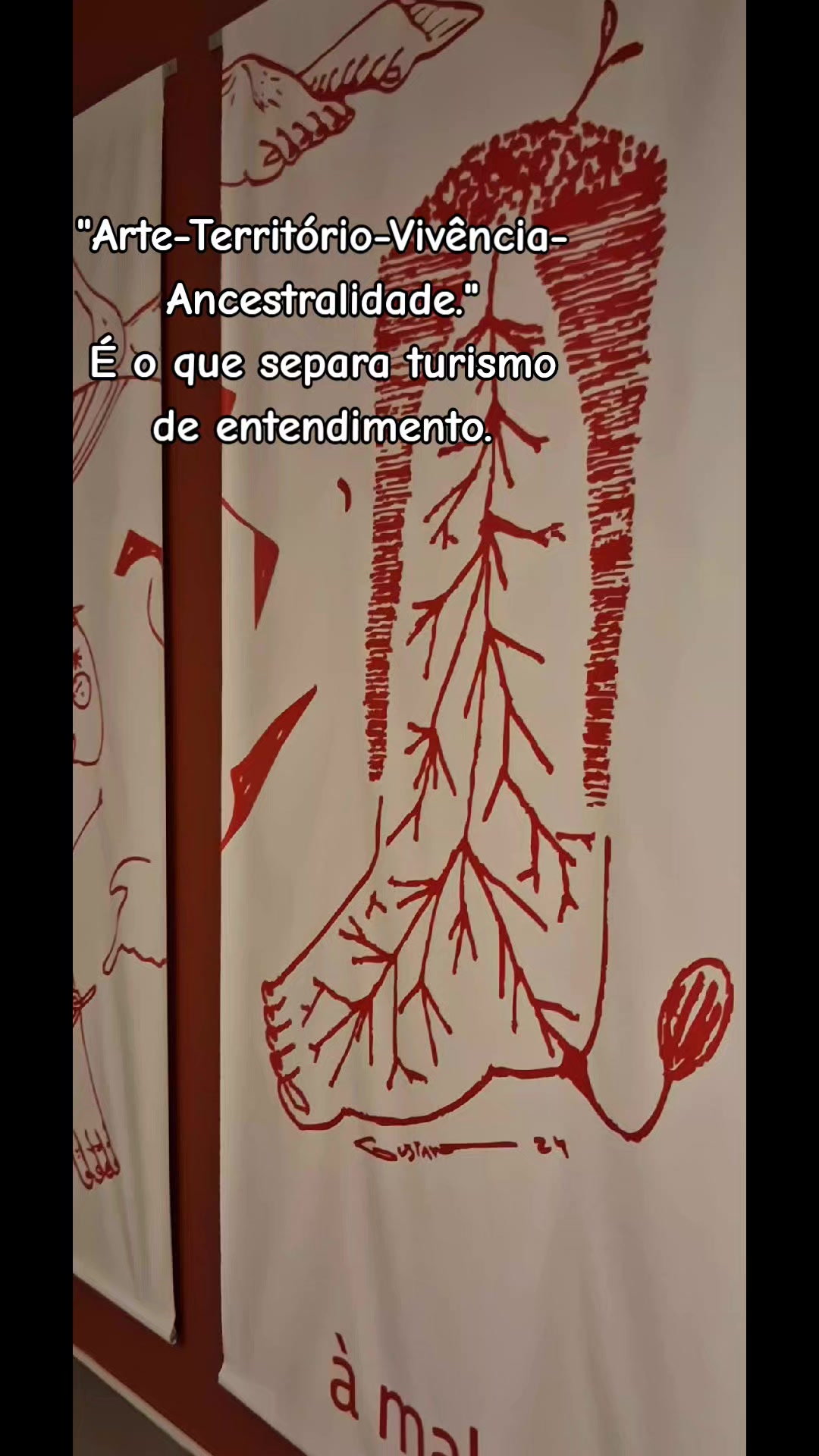 @@almadaamazonia