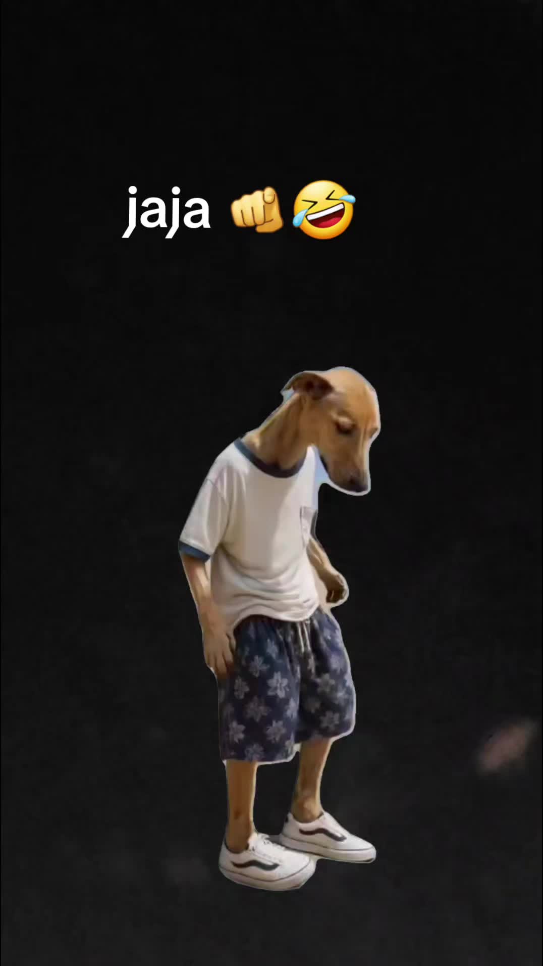 @Gabrielito 502