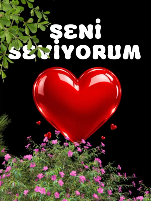 @SHOW İS NAME