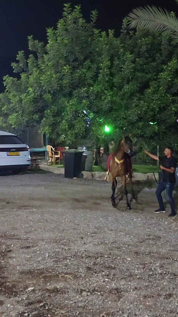 @🐎عوده لتوزيع مستلزمات الخيو🐎