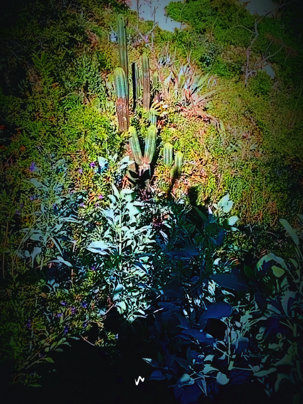 @𓂀 𝔸𝕝𝕓𝕖𝕣𝕥𝕙 𝕋𝕚𝕔𝕙𝕖 ♍