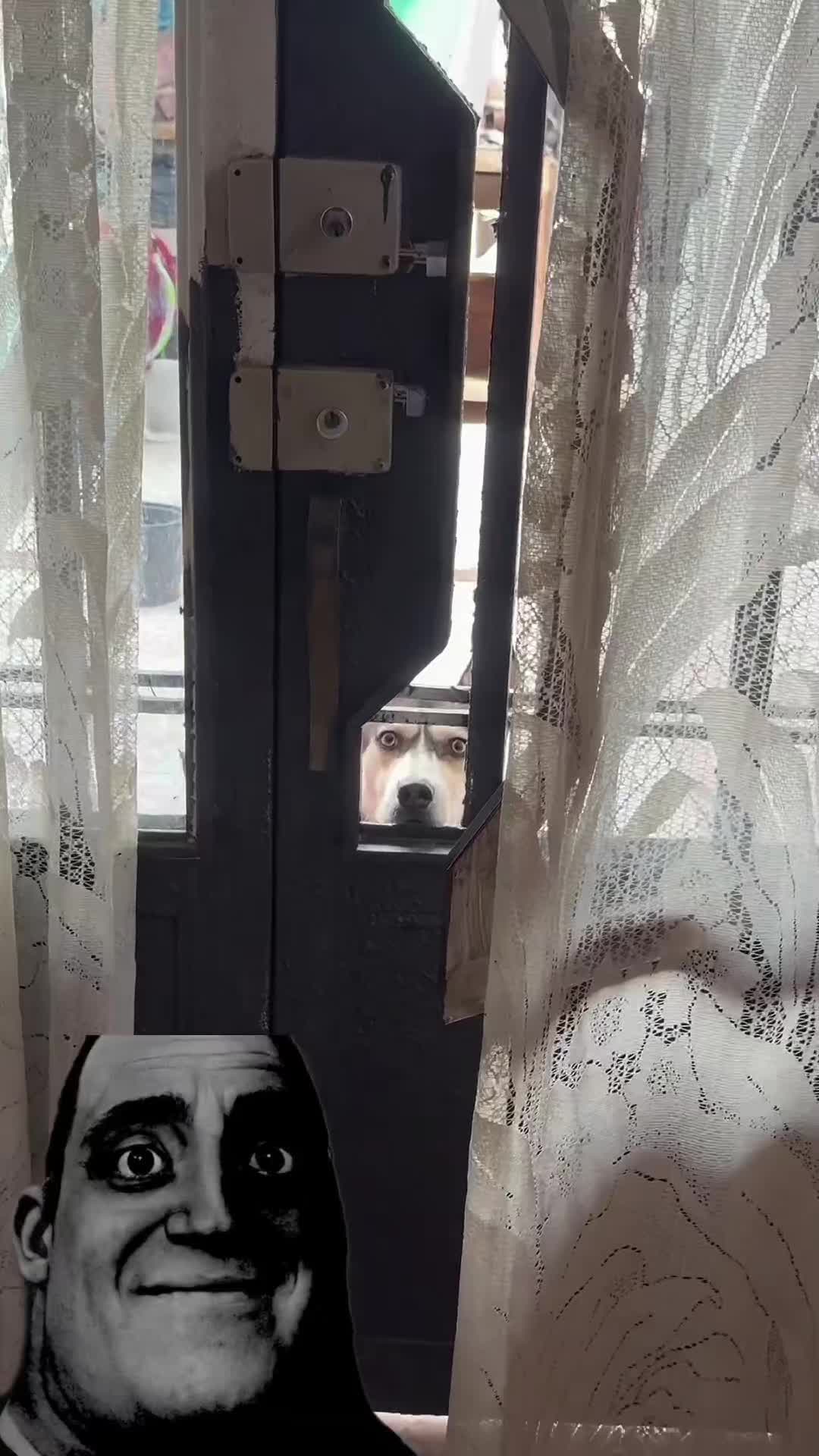 @๐ช.๐ฉ.๐ธ.๐ฆ.๐ฑ.๐ฆ.๐ธ