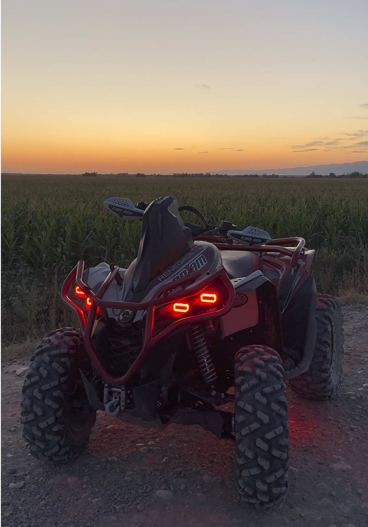 @ZVERЬ