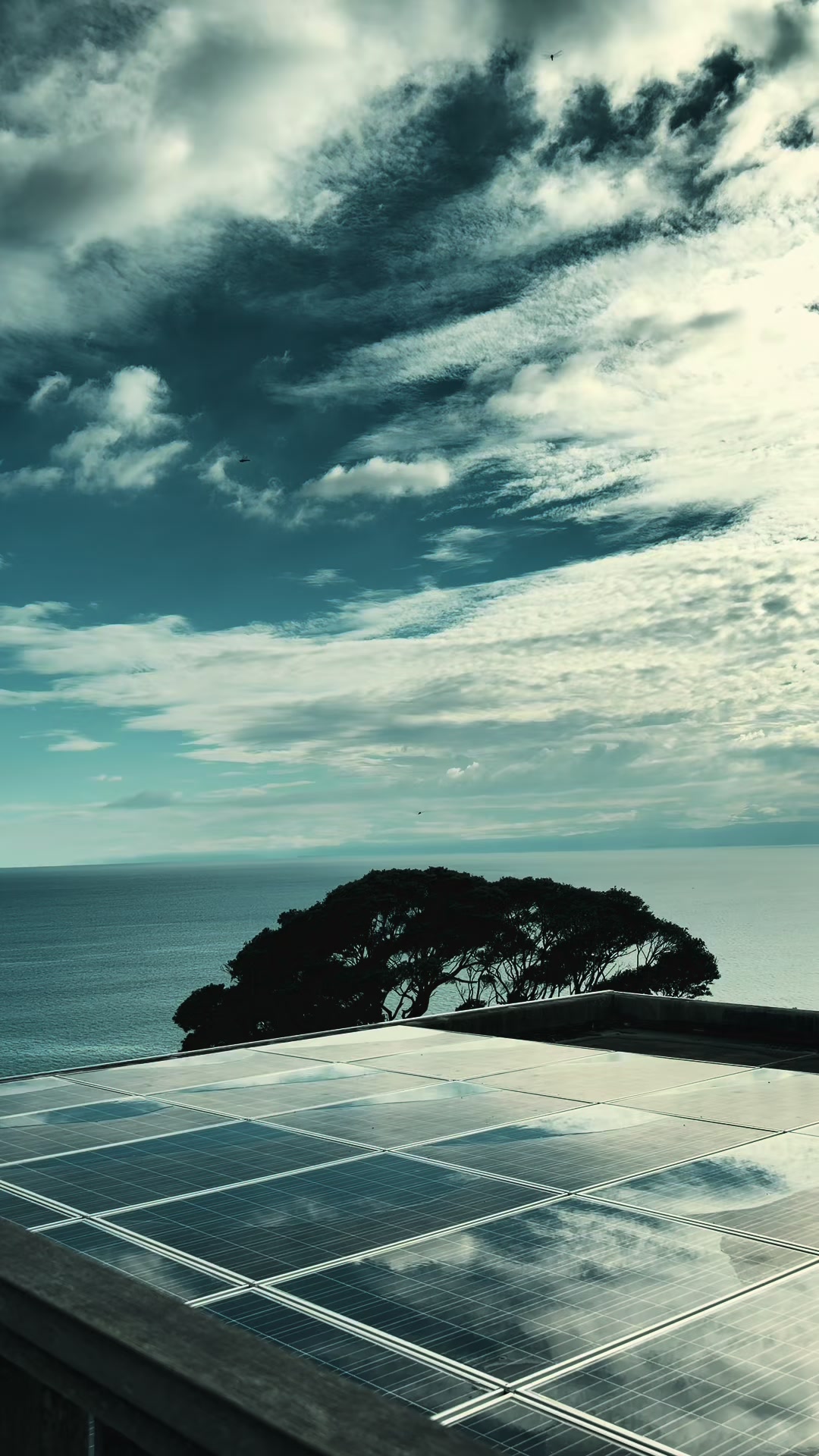 @ᴀʏᴇ ᴄʜᴀɴ ᴀᴜɴɢ 🎶