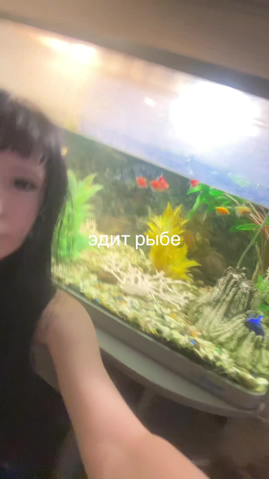 @m4xbet0va
