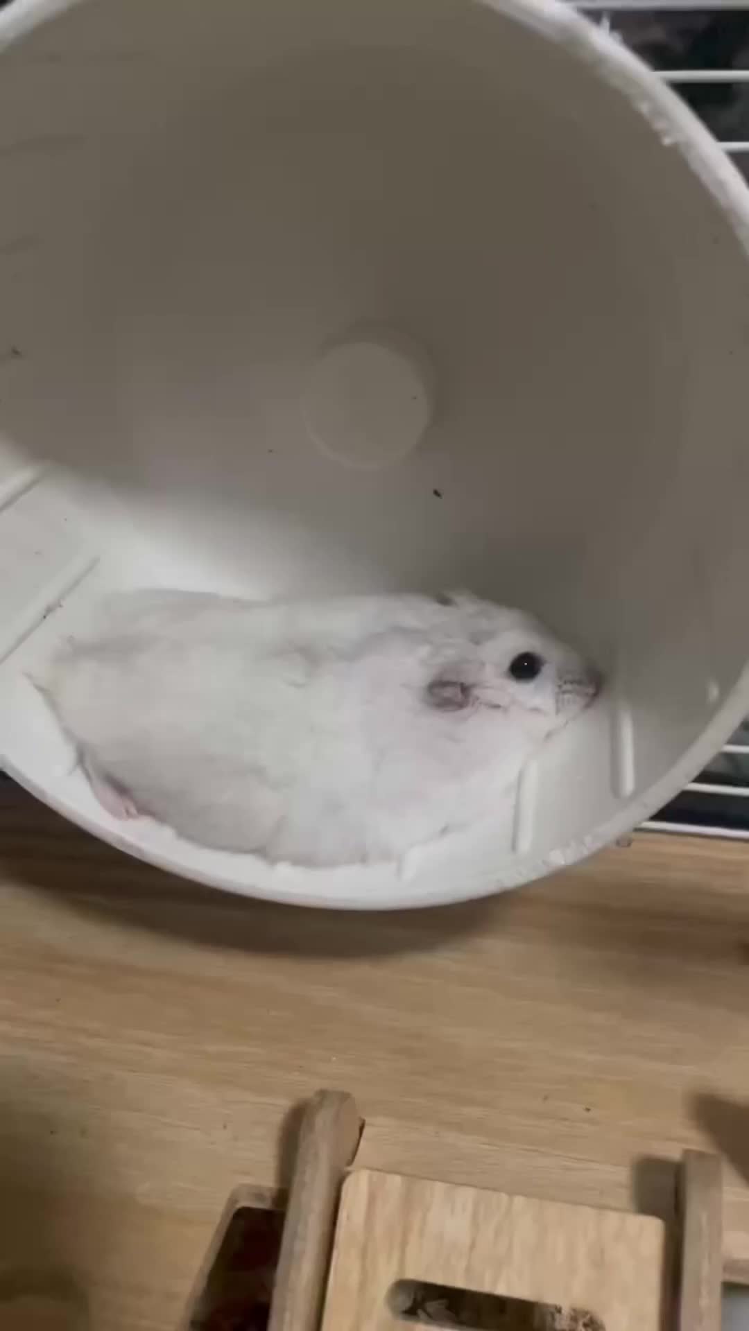 @CC.G